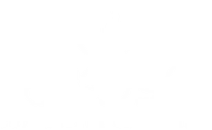 PDL Logo
